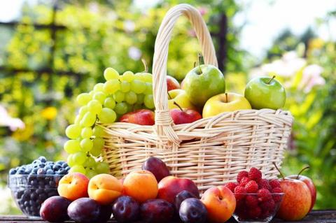  Україна змогла експортувати лише 50% фруктів Рис.1