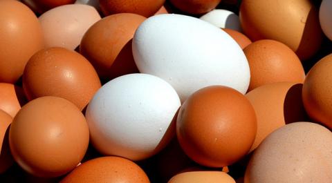 В Україні птахофабрики яєчного напряму працюють на мінімумі Рис.1