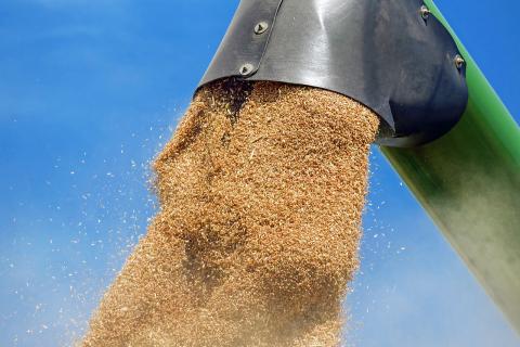 З України експортували понад 600 тис. тонн зерна Рис.1
