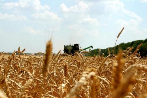 Аграрії Полтавщини розпочали збирання ранніх зернових Рис.1