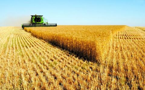 Аграрний комітет озвучив 6 кроків для оптимізації аграрного експорту Рис.1