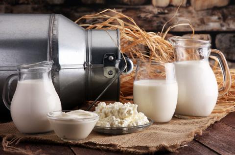 Експорт молочної продукції вигідніший за внутрішні продажі Рис.1