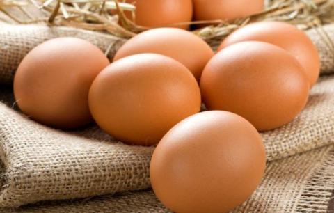 Експорт яєць з України скоротився удвічі Рис.1
