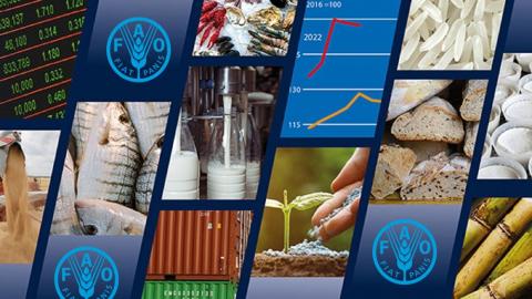 ФАО: Світові ціни на продовольство знизилися Рис.1