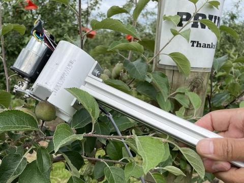 Інженери-агрономи розробляють роботизованого проріджувача зелених плодів Рис.1