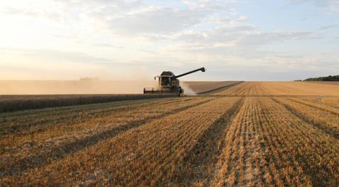На Тернопільщині зберуть рекордний урожай Рис.1