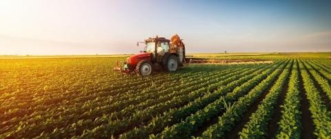 На Вінниччині прогнозується зменшення урожайності зернових на 20% Рис.1