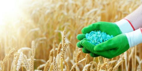 USDA оприлюднило звіт щодо ситуації на світовому ринку добрив Рис.1