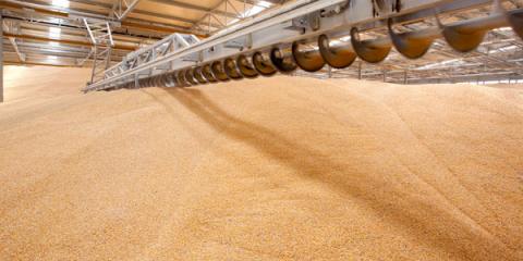 В Мінагро закликали аграріїв готуватися до довгострокового зберігання зерна Рис.1