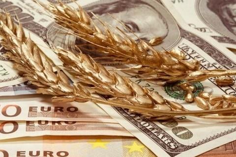В Україні ціни на продовольчу пшеницю залишаються на низькому рівні Рис.1