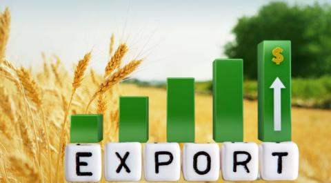 10 млн тонн агропродукції – експорт України за 5,5 місяців війни Рис.1