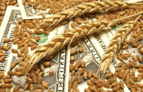 Американська та чорноморська пшениця за минулий тиждень значно подешевшала Рис.1