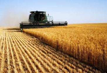 Микола Сольський: у фермерів на тимчасово окупованих територіях окупанти відбирають мільйони тонн нового врожаю Рис.1