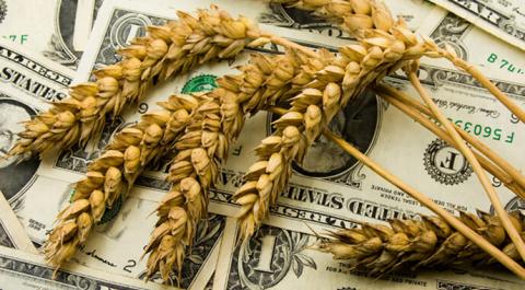 На експорт пішло 3,4 млн т українського зерна Рис.1