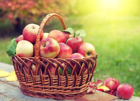 Собівартість яблук зросла на 30% Рис.1