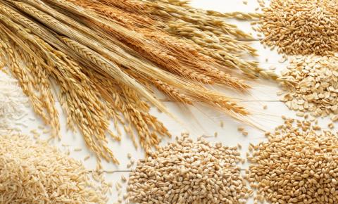 Світове виробництво пшениці може знизитися до 778 млн тонн Рис.1