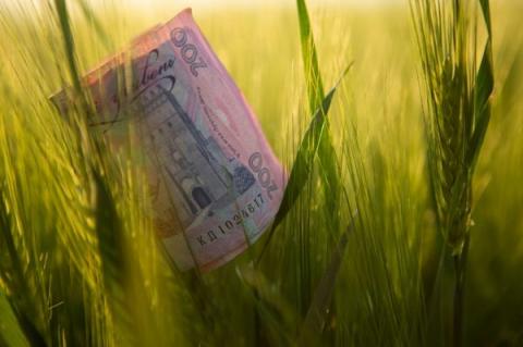 У межах програми «Доступні кредити 5–7–9» аграрії цьогоріч залучили майже 50,8 млрд грн кредитів Рис.1