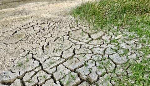 У південних регіонах України посилюється посуха Рис.1