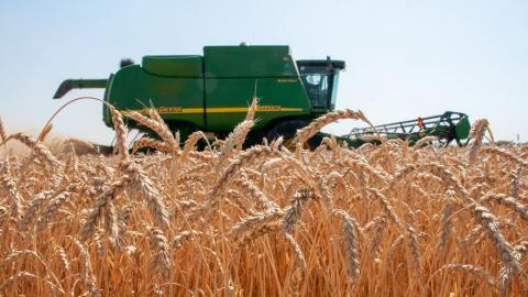 Україна здатна закрити зернові потреби ЄС навіть в умовах війни Рис.1