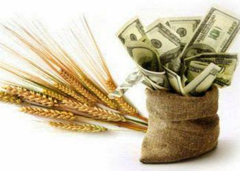 Уряд пролонгував пільгові кредити для аграріїв на пів року Рис.1