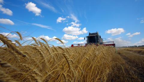 В Україні аграрії зібрали 17,5 млн тонн зерна Рис.1