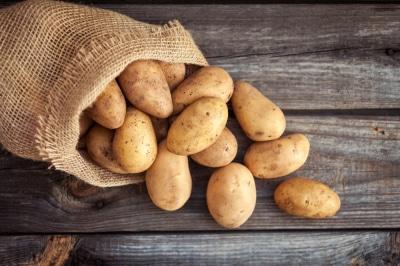 Вчені НААН дослідили вплив наночастинок та мікробних препаратів на ріст картоплі Рис.1