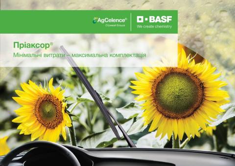  BASF розширив реєстрацію фунгіциду Пріаксор® – тепер його можна застосовувати і для захисту соняшника Рис.1