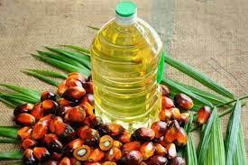 Ціни на пальмову олію відновлюються на тлі нейтрального звіту USDA Рис.1