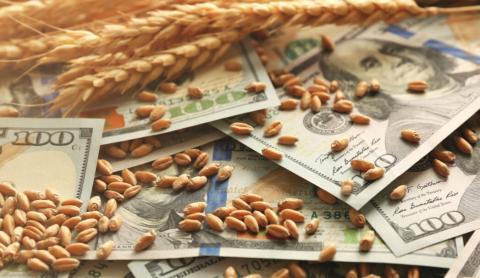 Ціни на пшеницю виросли до 3-місячного максимуму Рис.1