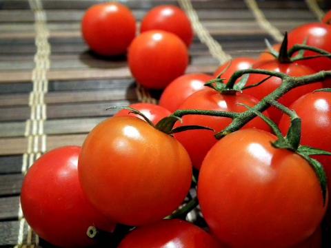 Геноми диких томатів пропонують цінний ресурс для покращення томатів Рис.1