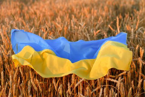 У серпні 4,5 млн тонн агропродукції фактично перетнули кордон України Рис.1