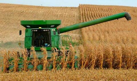 В Україні розпочалося збирання кукурудзи Рис.1