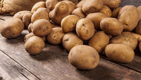 Вчені виявили нову хворобу картоплі Рис.1