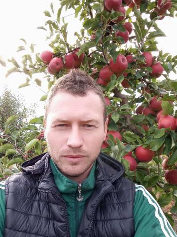 Як родина на Хотинщині понад 15 років вирощує яблука Рис.1