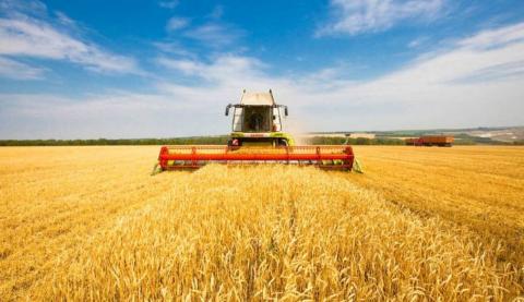 Жнива 2022: намолочено 25,9 млн тонн зерна Рис.1