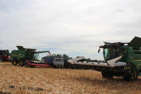 АФ «Ольгопіль» завершує збирання кукурудзи: названа врожайність Рис.1