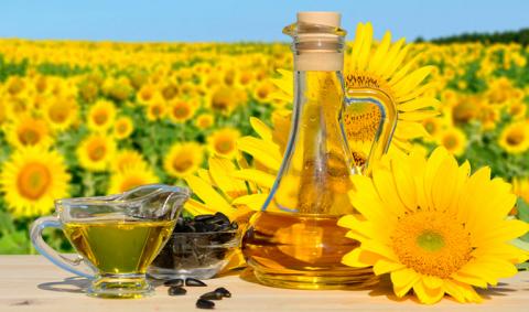 Активний експорт рослинних олій з України сприяє відновленню цін Рис.1