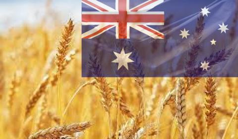 Австралія у 2022/23 МР може зібрати майже рекордний врожай зерна Рис.1