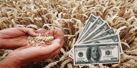 Ціни на пшеницю виросли на 5-6,5%, а в Україні трейдери зупинили закупівлі через ракеті обстріли Рис.1