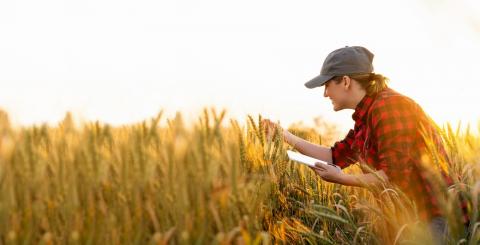 Програма TalentA-2022 визначила переможниць серед жінок-фермерів Рис.1