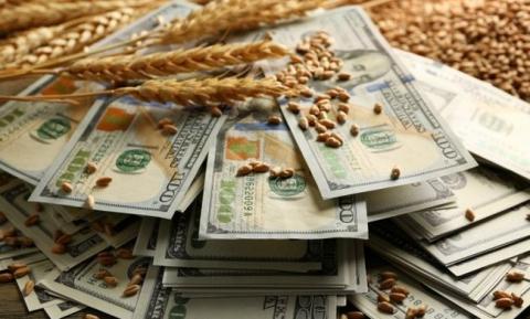 Пшеничні котирування на світових біржах розпочали тиждень падінням Рис.1