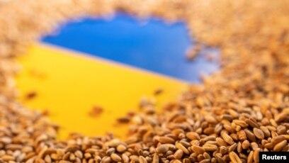 Судно з українською пшеницею прибуло в Кенію Рис.1