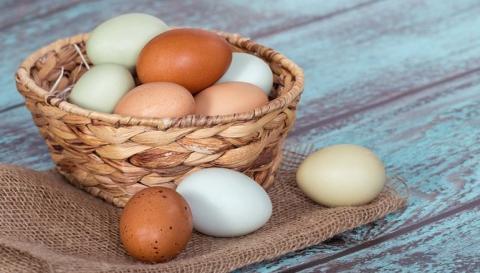 Зростання ціни на курячі яйця зупинилося Рис.1