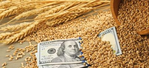 Активізація експорту з портів Чорного моря повертає експортерів на ринок пшениці Рис.1