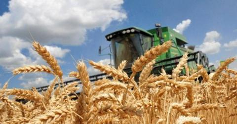 Експорт пшениці з ЄС отримав друге дихання завдяки попиту Китаю та США, - огляд іноземних ЗМІ за 22 листопада 2022 року Рис.1