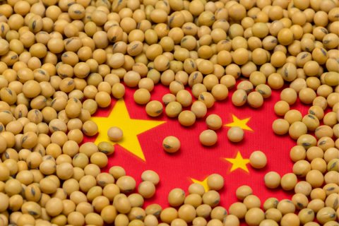 Китай крім кукурудзи планує імпортувати з Бразилії ще й соєвий шрот Рис.1