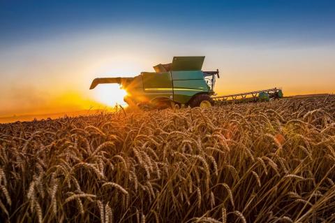 Міністерство сільського господарства США підвищує прогноз збільшення посівів пшениці та кукурудзи в країні на 2023 рік, - огляд іноземних ЗМІ за 09 листопада 2022 Рис.1