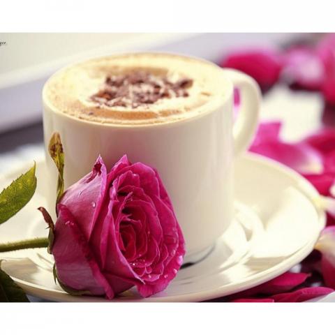 На Одещині презентували трояндову каву Рис.1