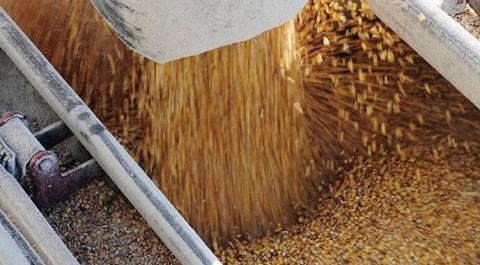 Обсяг експорту зерновим коридором продовжує падати Рис.1