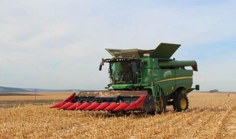Урожайність кукурудзи на Чернігівщині істотно нижча, ніж торік Рис.1